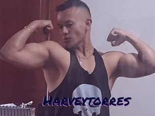Harveytorres
