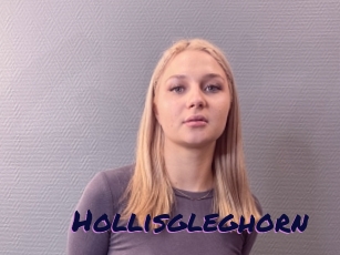 Hollisgleghorn
