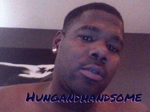 Hungandhandsome