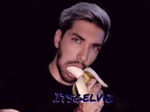 Itsgelviz