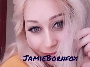 JamieBornfox