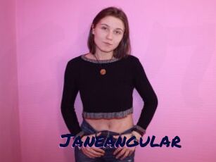 Janeangular