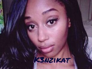 K3nzikat