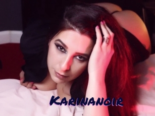 Karinanoir