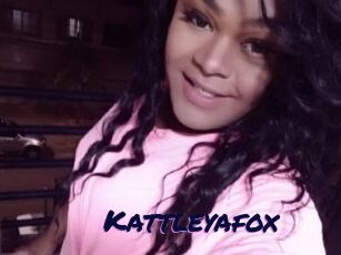 Kattleyafox