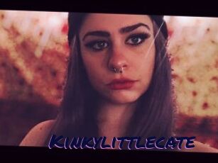 Kinkylittlecate