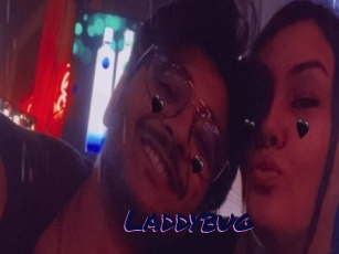 Laddybug