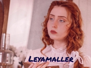 Leyamaller