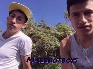Malehotboys