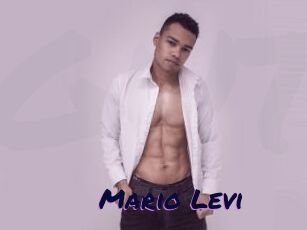 Mario_Levi