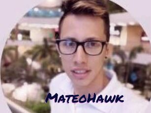MateoHawk