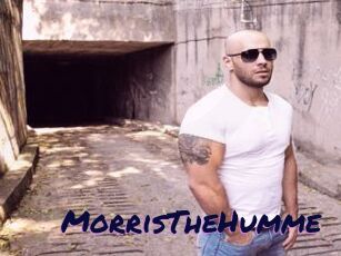 MorrisTheHumme