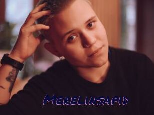Merelinsapid