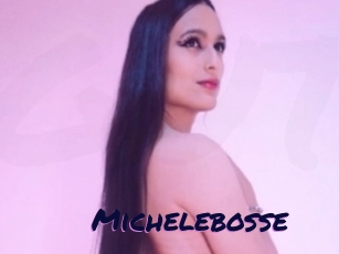 Michelebosse