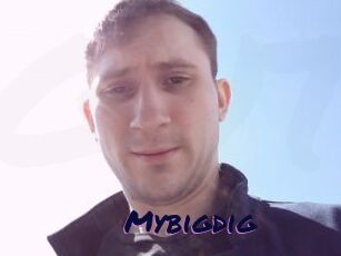 Mybigdig