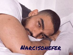 Narcisonefer
