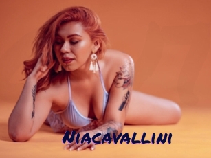 Niacavallini