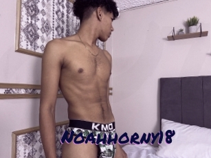 Noahhorny18