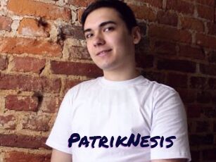 PatrikNesis
