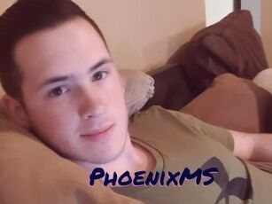 PhoenixMS