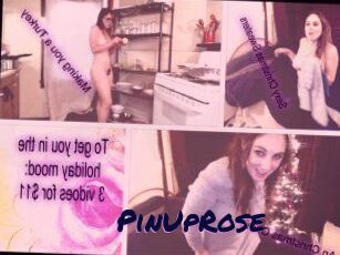 PinUpRose