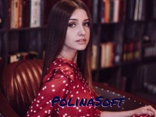 PolinaSoft