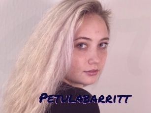 Petulabarritt