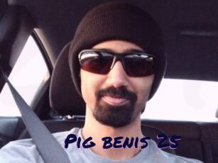 Pig_benis_25