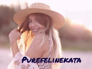 Purefelinekata
