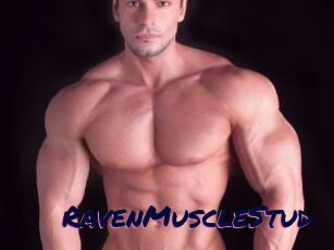 RavenMuscleStud