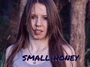 SMALL_HONEY