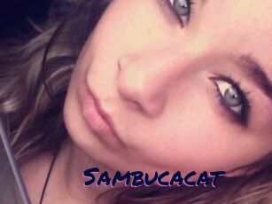 Sambucacat