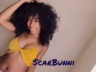 ScarBunni