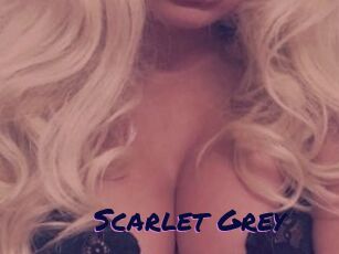Scarlet_Grey