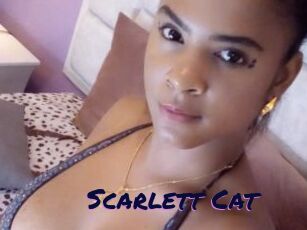 Scarlett_Cat