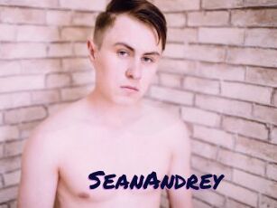 SeanAndrey