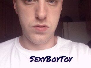 SexyBoyToy