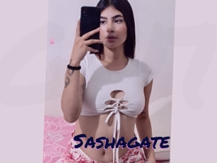 Sashagate