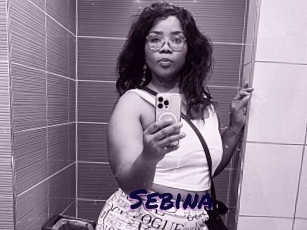 Sebina