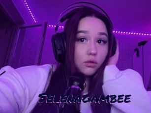 Selenagambee