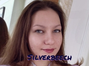 Silverbeech