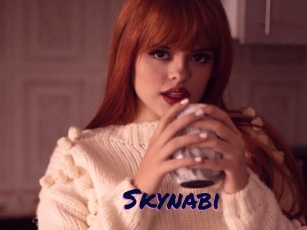 Skynabi