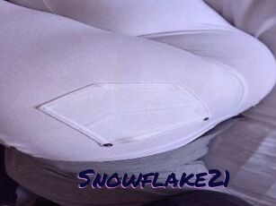 Snowflake21