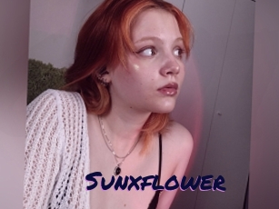 Sunxflower