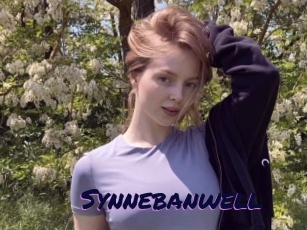 Synnebanwell