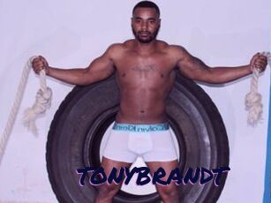 TONYBRANDT
