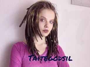 Taitegodsil