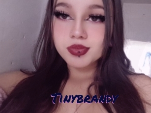 Tinybrandy