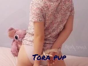 Tora_pup