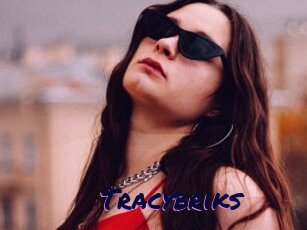 Tracybriks